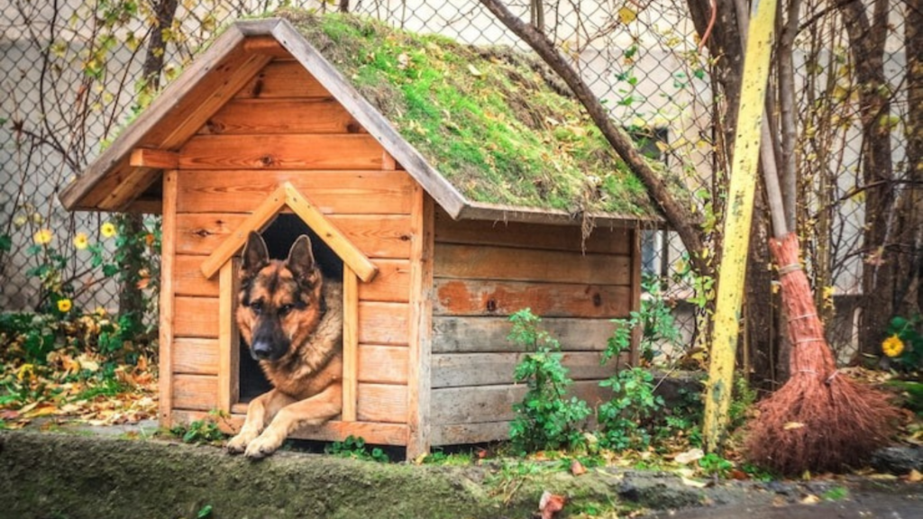 Protecting and Enhancing Your Dog House with Tar Paper and Roofing Shingles