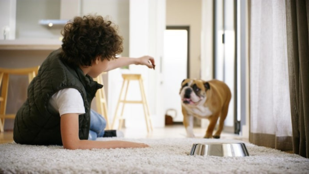 Choosing and Maintaining the Ideal Doghouse for Seasonal Comfort