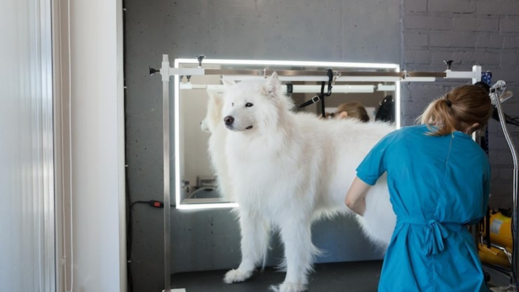 Choosing the Right Dog Breed for Children: Compatibility and Temperament